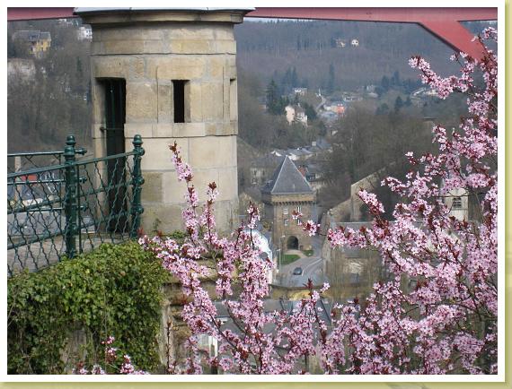 12_Luxembourg