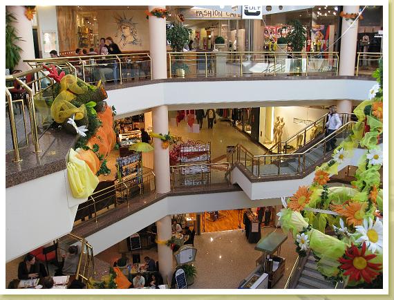 34_Shopping