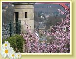 12_Luxembourg